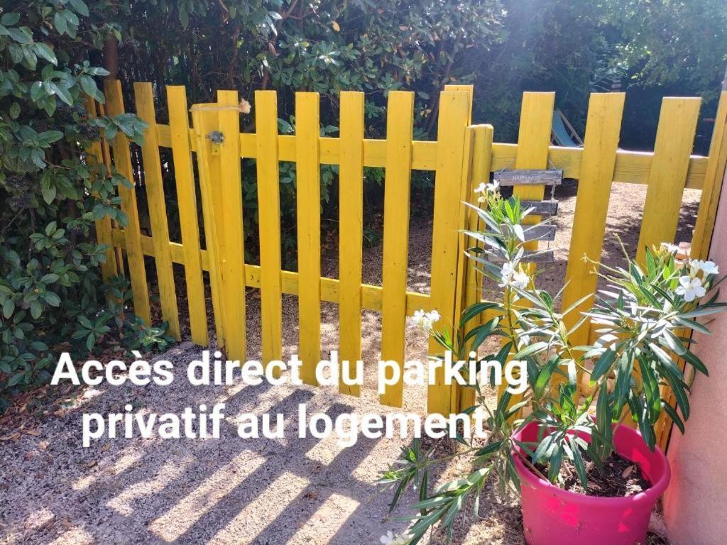 Calme Et Intimite Proche Avignon Piscine Options Au Choix Privee Ou Partagee De Juin A Octobre Βίλα Morieres-les-Avignon Εξωτερικό φωτογραφία
