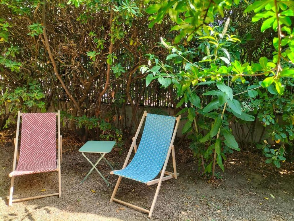 Calme Et Intimite Proche Avignon Piscine Options Au Choix Privee Ou Partagee De Juin A Octobre Βίλα Morieres-les-Avignon Εξωτερικό φωτογραφία